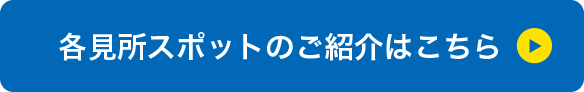 各見所スポットのご紹介はこちら